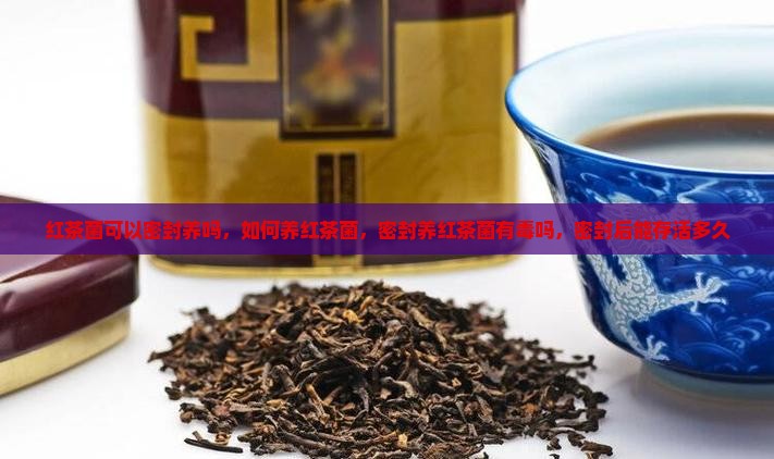 红茶菌可以密封养吗