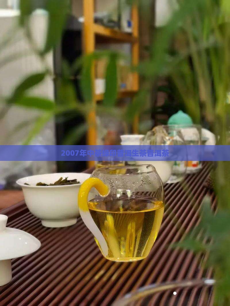 2007年小绿印普洱