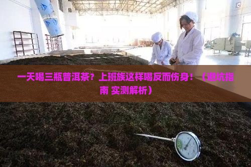 一天喝三瓶普洱茶