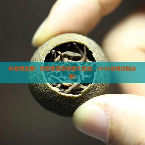 林老根坝歪普洱茶直播