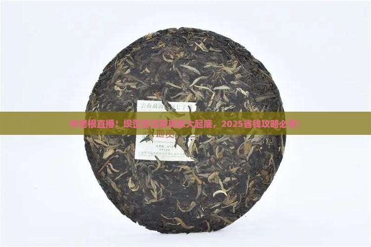 林老根坝歪普洱茶直播