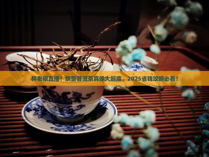 林老根坝歪普洱茶直播