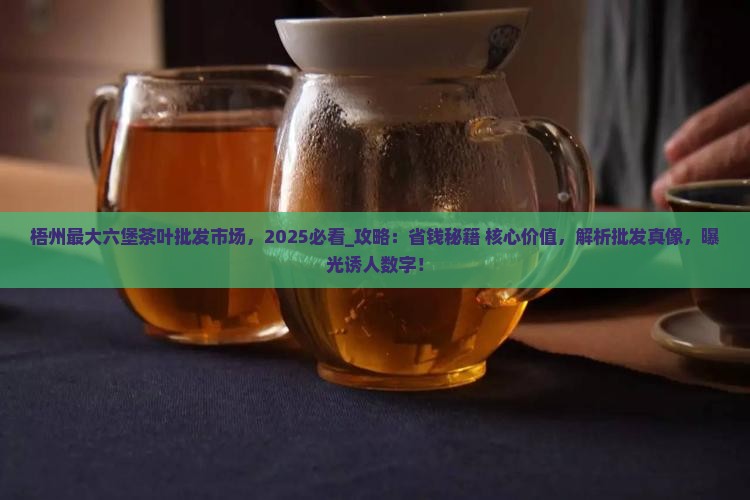 梧州最大六堡茶叶批发市场