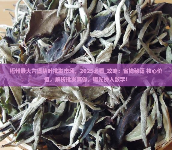梧州最大六堡茶叶批发市场