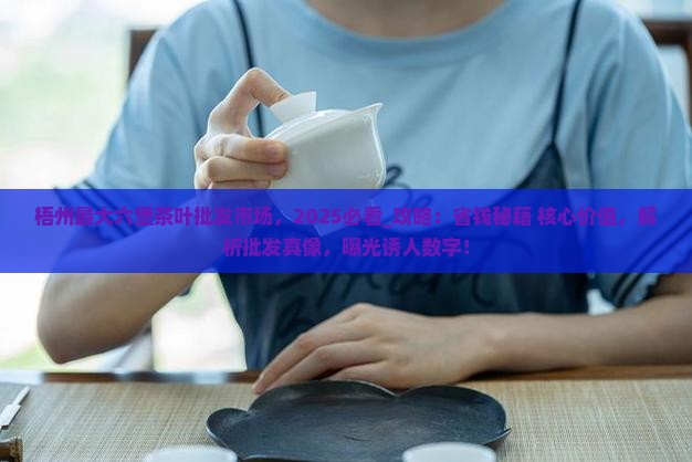 梧州最大六堡茶叶批发市场
