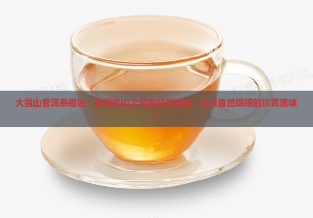 大雪山普洱茶描述