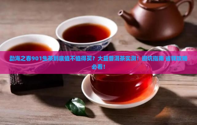 大益普洱茶901生茶勐海之春