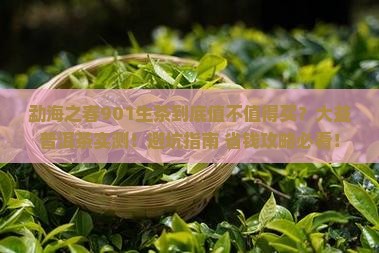 大益普洱茶901生茶勐海之春
