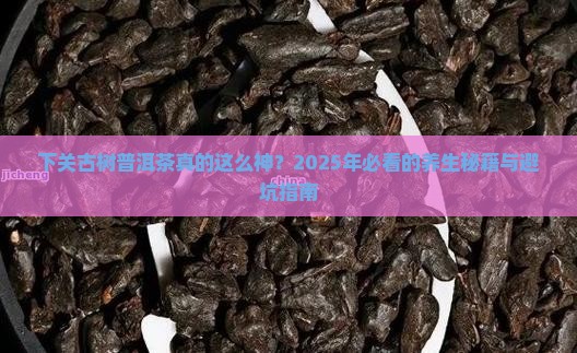 下关古树普洱茶的功效