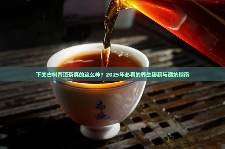 下关古树普洱茶的功效