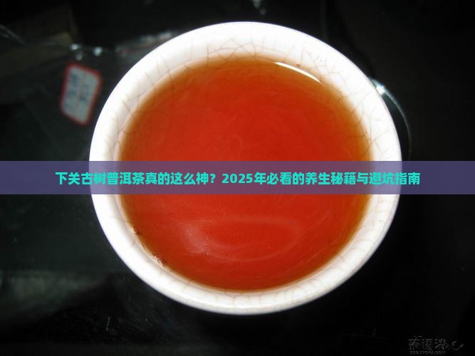 下关古树普洱茶的功效