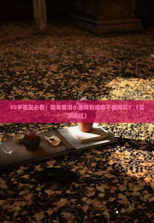 普洱茶砖价格陈年普洱小金砖
