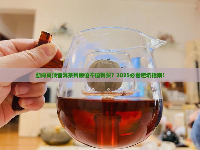 勐海高顶普洱茶