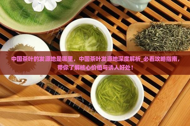 中国茶叶的发源地是哪里