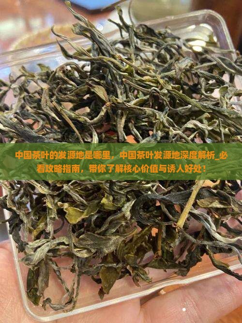 中国茶叶的发源地是哪里