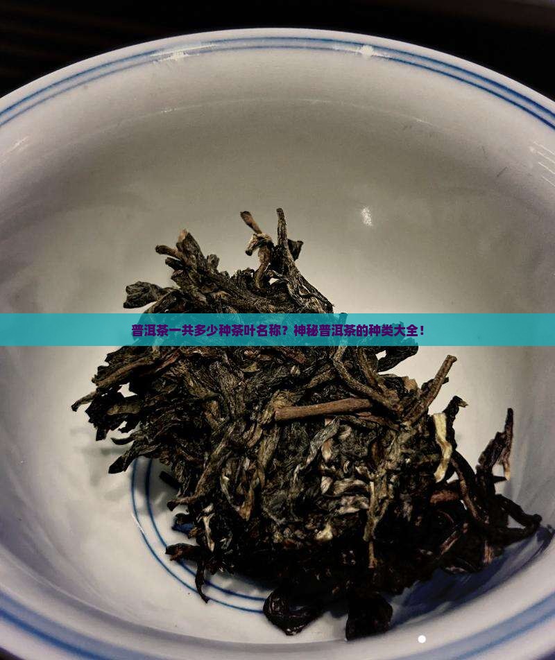 普洱茶一共多少种茶叶名称