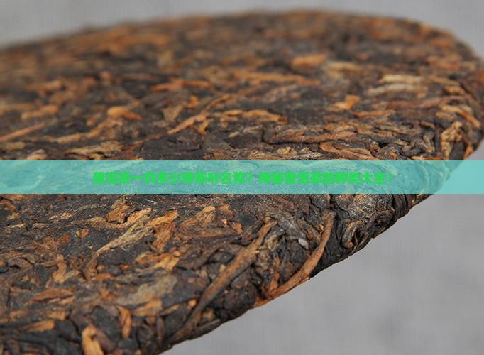 普洱茶一共多少种茶叶名称