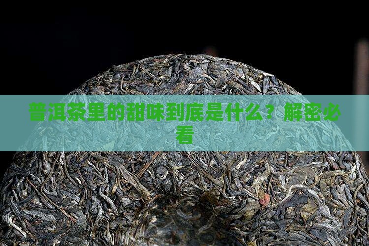 普洱茶中的甜味是什么味