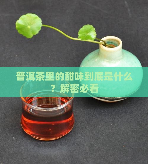 普洱茶中的甜味是什么味