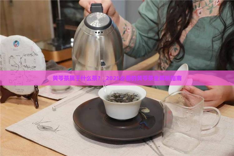 黄芩茶属于什么茶
