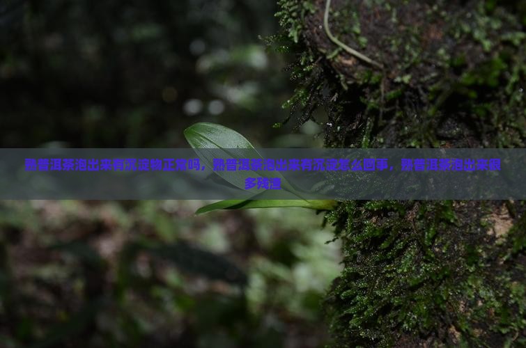 熟普洱茶泡出来有沉淀