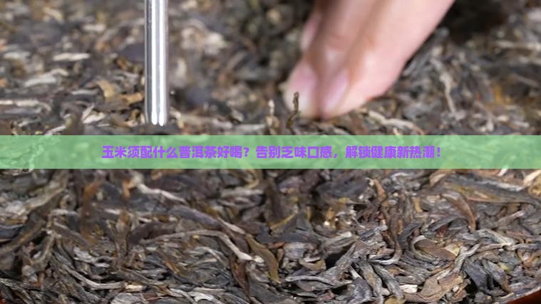 玉米须配什么普洱茶好喝