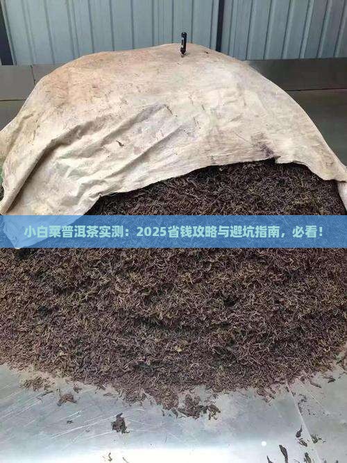 小白菜普洱茶的介绍 小白菜普洱茶的介绍
