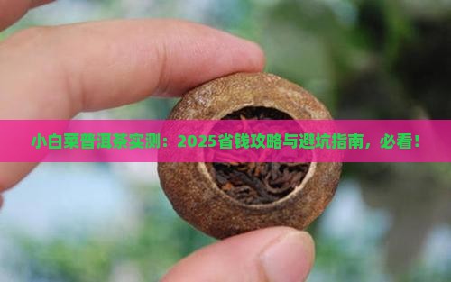 小白菜普洱茶的介绍 小白菜普洱茶的介绍