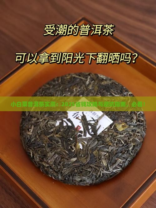 小白菜普洱茶的介绍 小白菜普洱茶的介绍