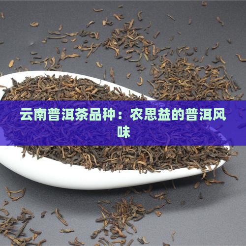农思益的普洱茶品种