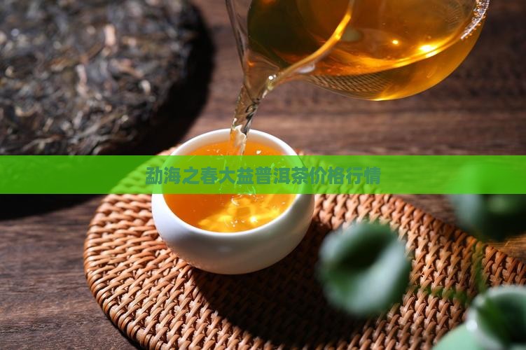 劲海之春普洱茶价格