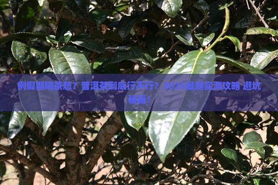 例假期能喝普洱茶么 例假期能喝普洱茶么