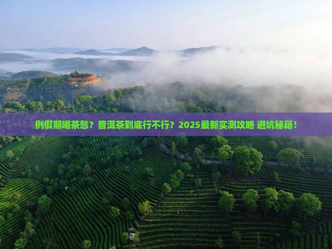 例假期能喝普洱茶么 例假期能喝普洱茶么