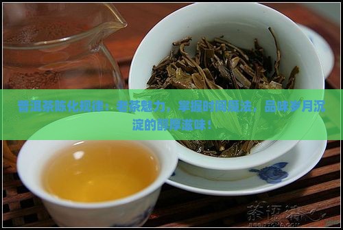 普洱茶陈化规律