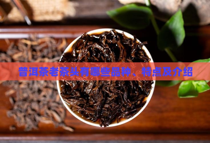 普洱茶老茶头有哪些