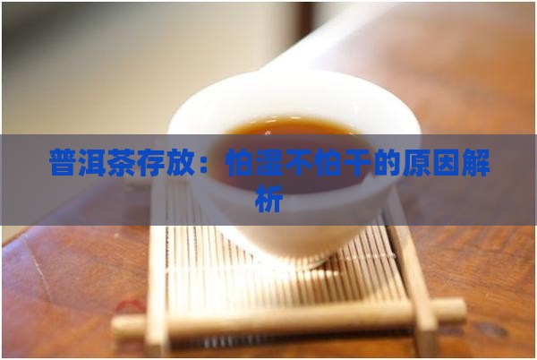 普洱茶怕湿不怕干吗为什么