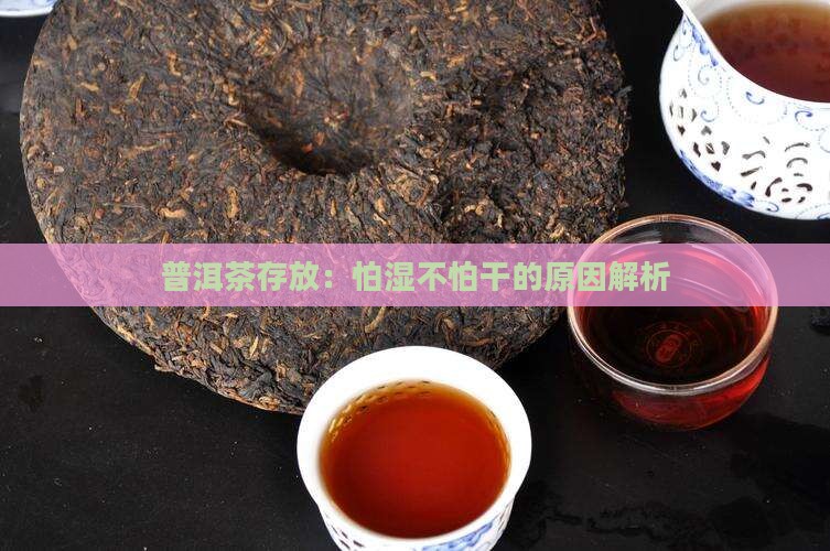 普洱茶怕湿不怕干吗为什么