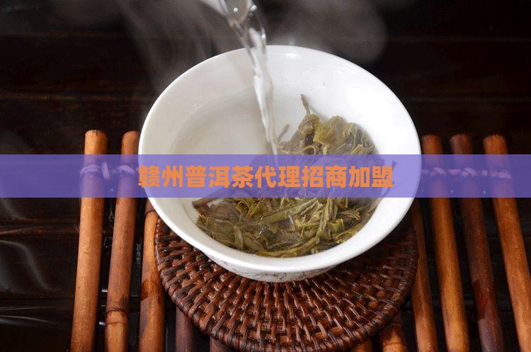 赣州普洱茶代理招商加盟