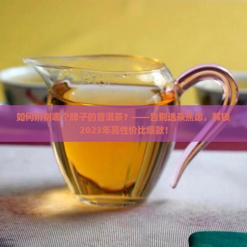 如何辨别哪个牌子的普洱茶