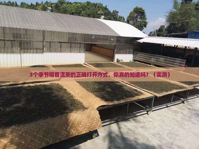 喝普洱茶的季节与喝法是什么