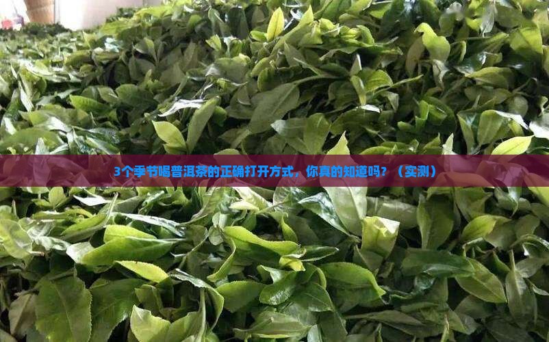 喝普洱茶的季节与喝法是什么
