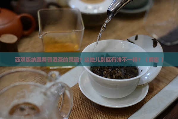 西双版纳与普洱茶的关系