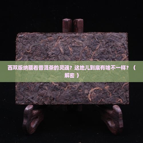 西双版纳与普洱茶的关系