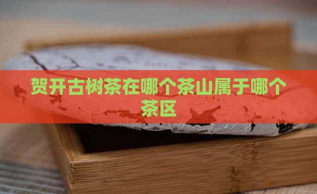 贺开古树茶在哪个茶山