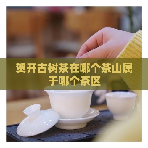 贺开古树茶在哪个茶山