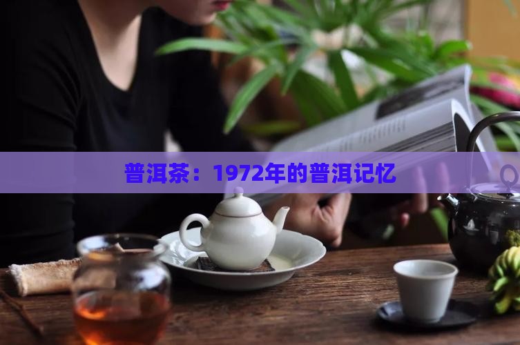 普洱茶1972