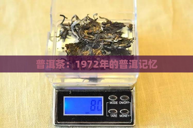 普洱茶1972