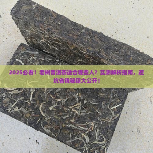 老树普洱茶适合什么人呵