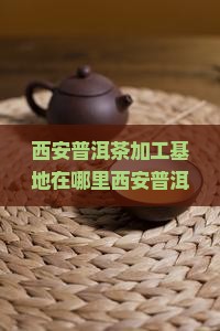 西安普洱茶加工基地在哪里