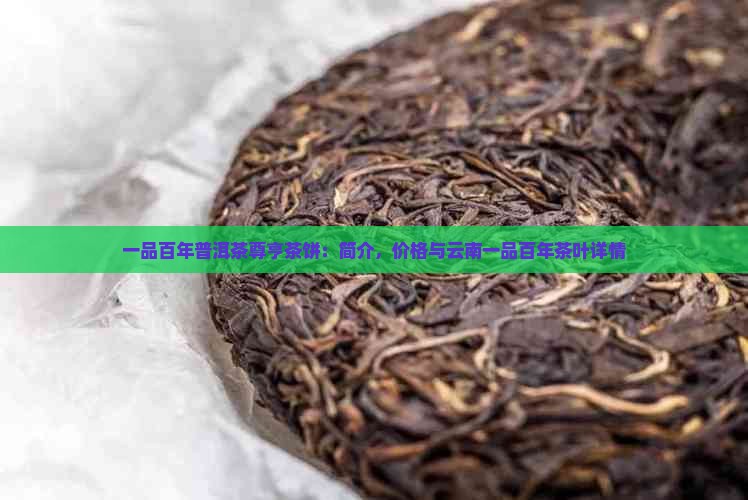 一品百年普洱茶尊亨茶饼